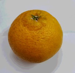 mikan