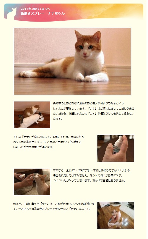 我が家の猫