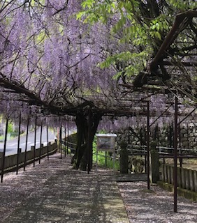 藤山神社