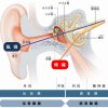 骨導式補聴器について