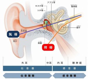 骨導式補聴器について