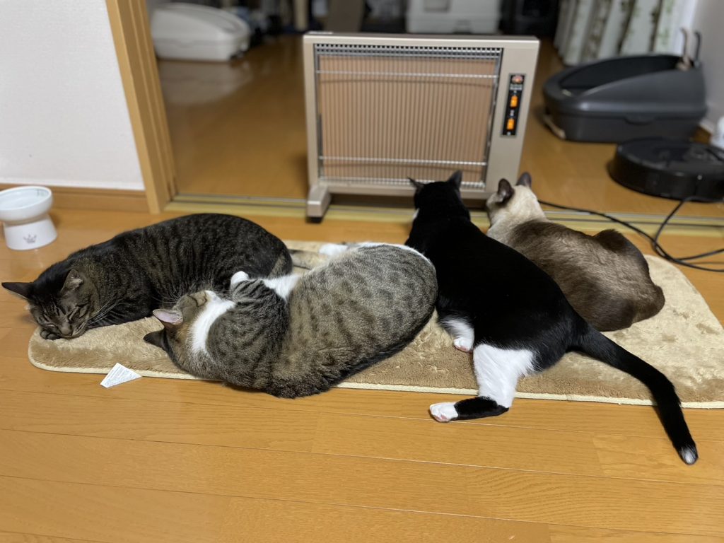 猫団子ストーブ