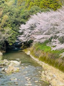 家族の会話でお困りではありませんか？