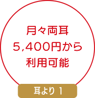 月々両耳5,400円から利用可能